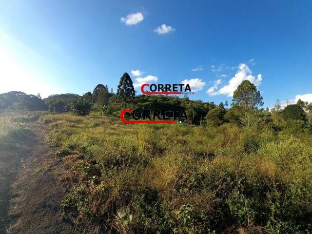 #467 - Terreno para Venda em Ibiúna - SP - 1