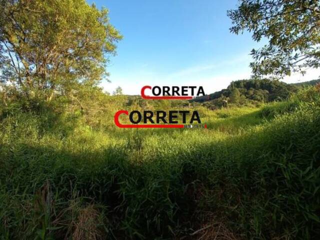 Terreno para Venda em Ibiúna - 5
