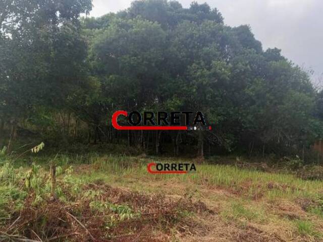 Terreno para Venda em Ibiúna - 2