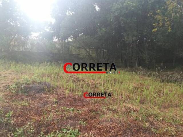 Terreno para Venda em Ibiúna - 3