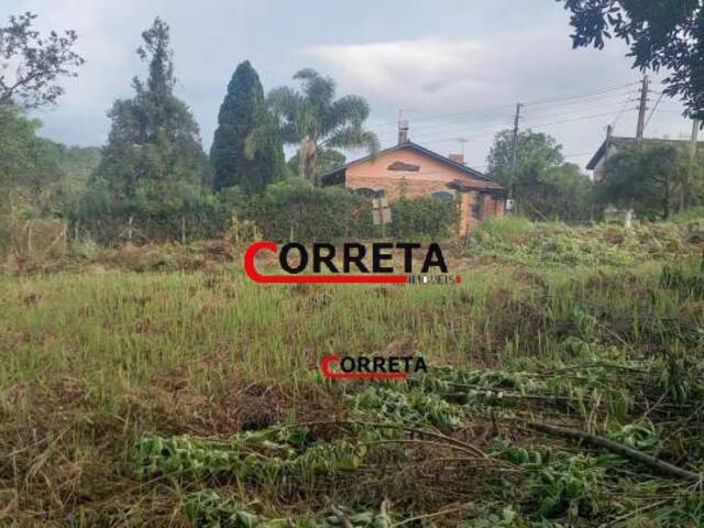 Terreno para Venda em Ibiúna - 4