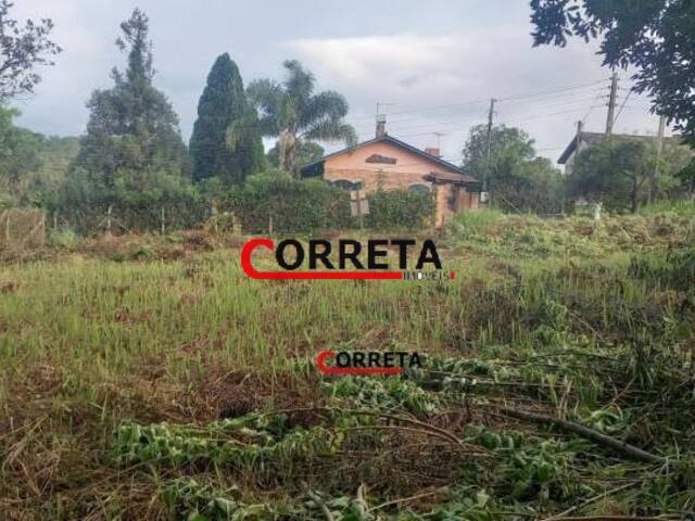 Terreno para Venda em Ibiúna - 5