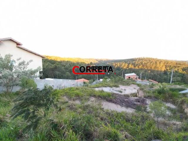 Terreno para Venda em Ibiúna - 2