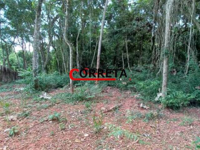 #476 - Terreno para Venda em Ibiúna - SP - 2