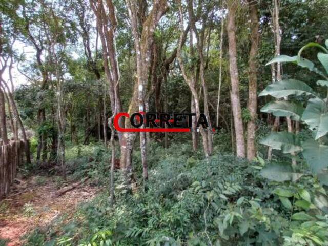 #476 - Terreno para Venda em Ibiúna - SP - 3