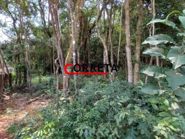 Terreno para Venda em Ibiúna - 5