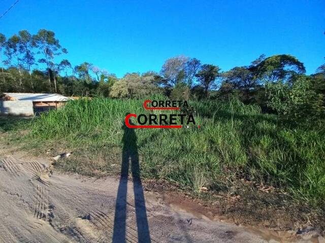 #477 - Terreno para Venda em Ibiúna - SP - 3