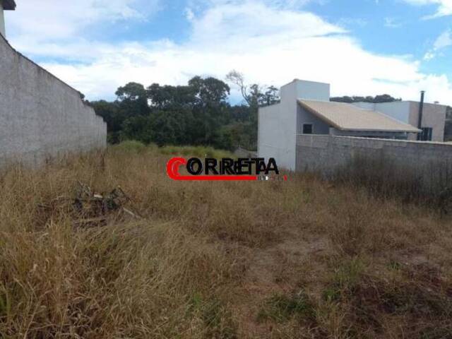 #478 - Terreno para Venda em Ibiúna - SP - 1