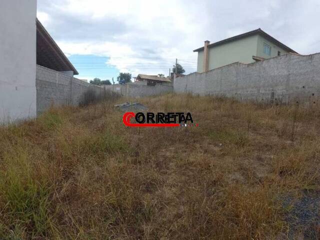 #478 - Terreno para Venda em Ibiúna - SP - 3