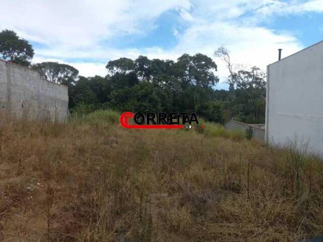 Terreno para Venda em Ibiúna - 4