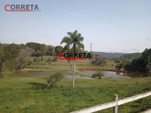 #48 - Sítio para Venda em Piedade - SP - 1
