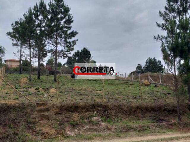 Terreno para Venda em Ibiúna - 4