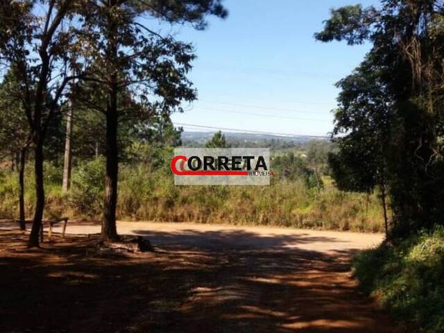 Terreno para Venda em Ibiúna - 3